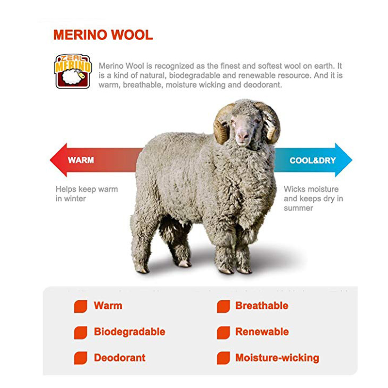 ซีลวูดเดินป่าปีนเขาถุงเท้าหนาข - Wool Hiking Sock บทวิจารณ์และราคา
