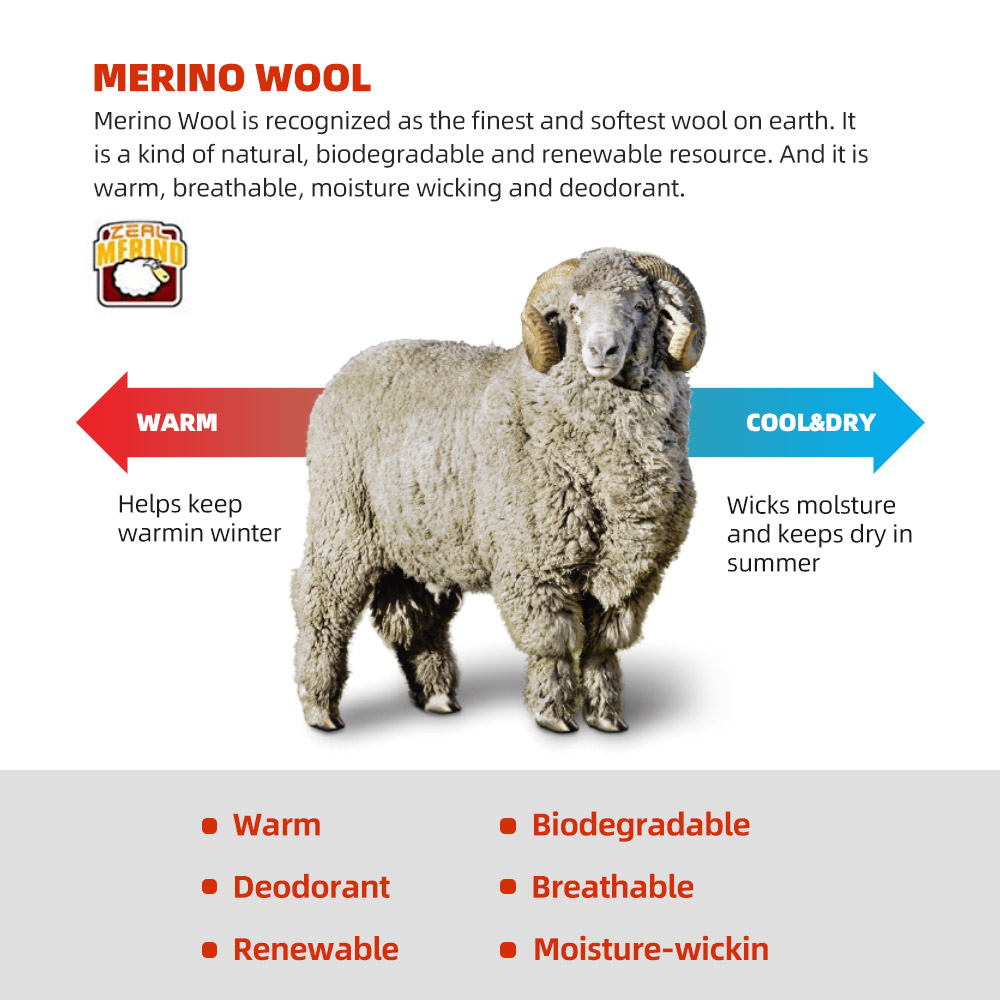 ZEALWOOD Merino Wool วิ่งถุงเท - Wool Hiking Sock บทวิจารณ์และราคา